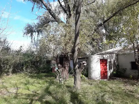 Galpon en Venta 50  mts Fondo