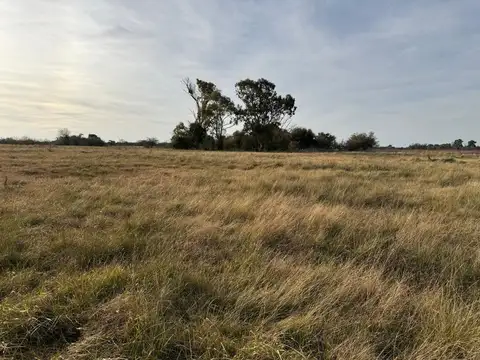 VENTA DE CAMPO EN ATALAYA MAGDALENA.