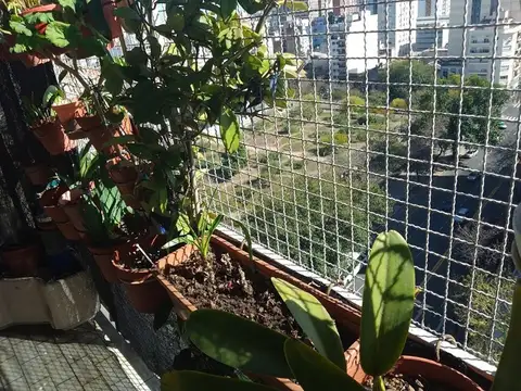 Avenida Jujuy 400, Piso 12°