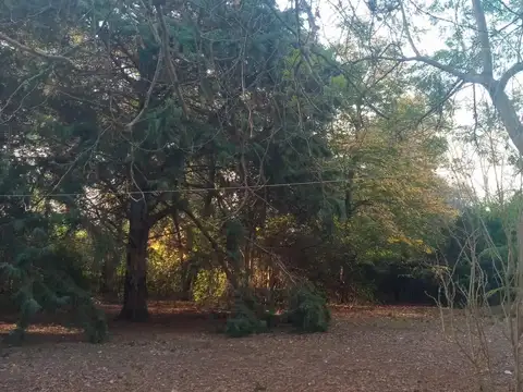 Terreno en Alquiler, FOT 0,75
