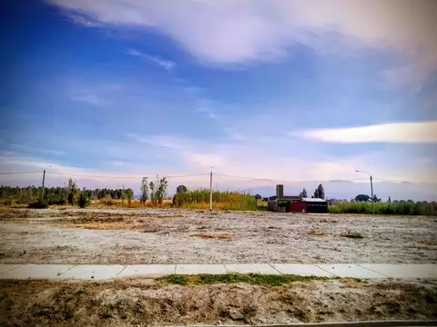Barrio Natania 100