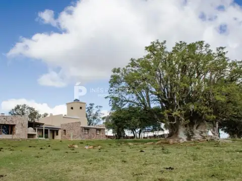 Campo en Venta Chacra