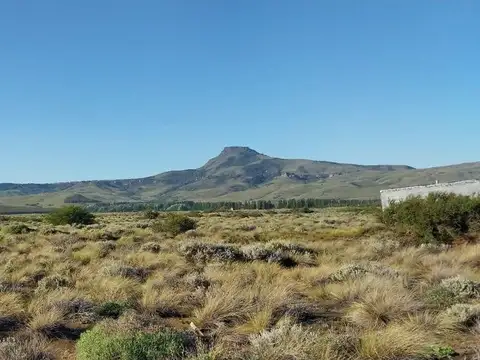 Terreno en Venta de 5000,0 m2