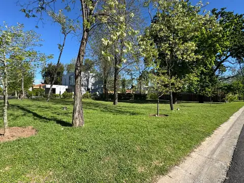 Terreno en Venta en Bella Vista, USD 300.000