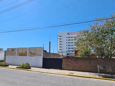 Mendoza entre Alberdi y Sarmiento