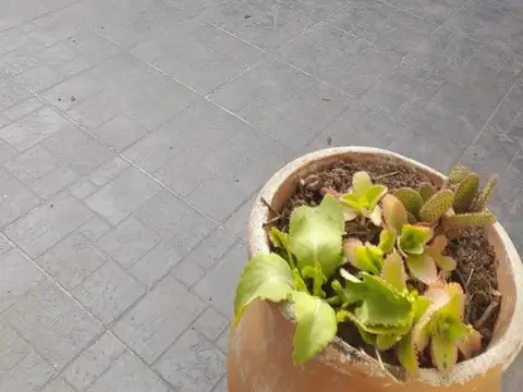 Casa 11 ambientes con 4 baños