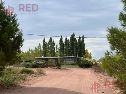 La Península, Mari Menuco. Lote N 16