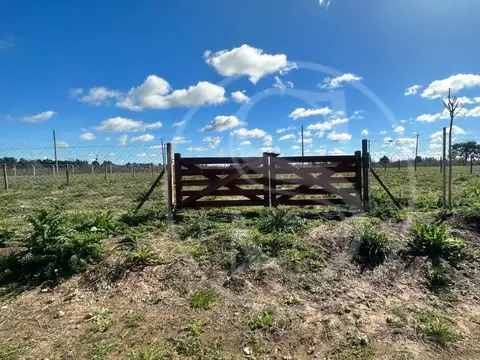 Rio Sauce Grande 100