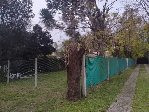 Poeta Risso 2700