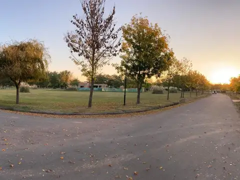 Haras del Sur 2