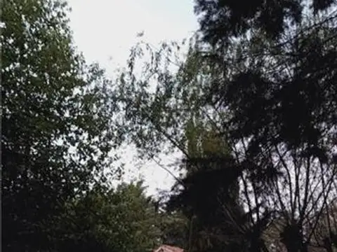 Quinta en Venta 15 años
