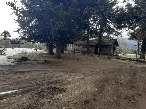 Terreno en Venta en Moquehue, USD 55.000