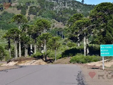 TERRENO EN VENTA EN MOQUEHUE
