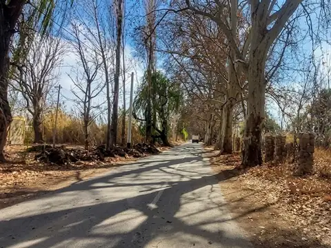 Terreno en Venta de 1557,0 m2