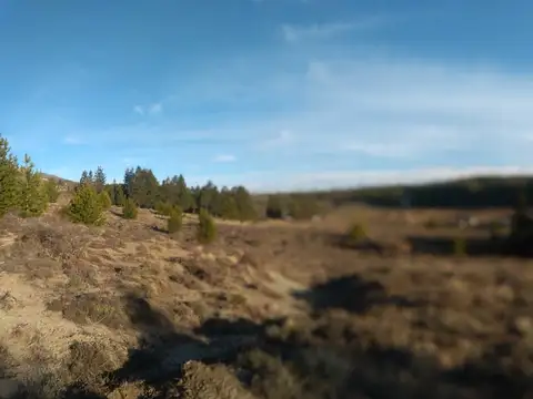 Campo en Venta de 3  ha