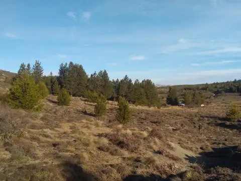 Ruta 237
