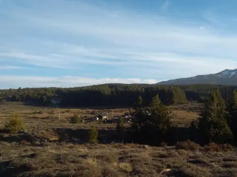 Ruta 237