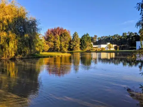 Casuarinas Del Pilar