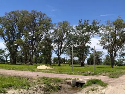 RUTA A009 Y RAUL CARUSSI