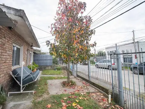 Pando 400
