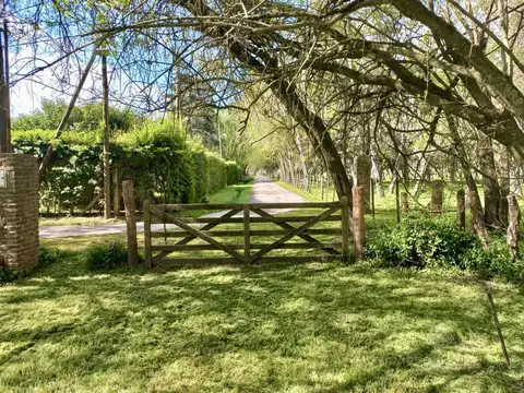 Excelente chacra a mts de la Ruta 210 con estupenda forestación   galpón   vivienda 