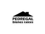 PEDREGAL BIENES RAICES