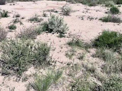 Terreno en Venta en Las Compuertas, USD 150.000