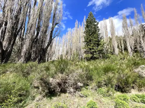 Villa Lago Lolog  - San Martin de los Andes - 14 Hectáreas