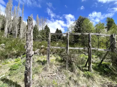 Villa Lago Lolog -  San Martin de los Andes - 14 Hectáreas
