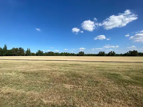 Hernan Ceriani Cernadas