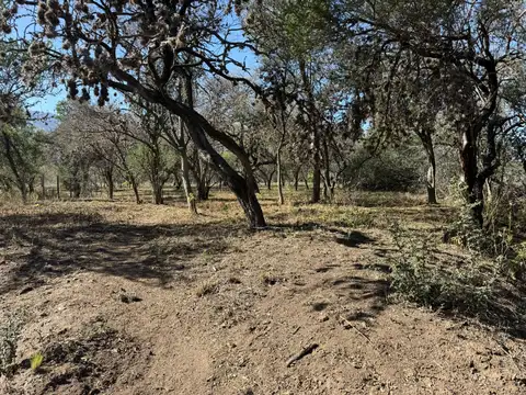 LOTES EN LAS CHACRAS SUR