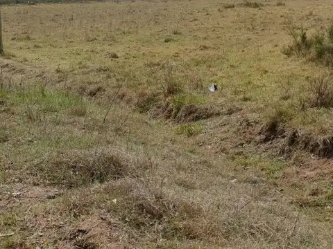 Terreno en Venta de 12059,0 m2