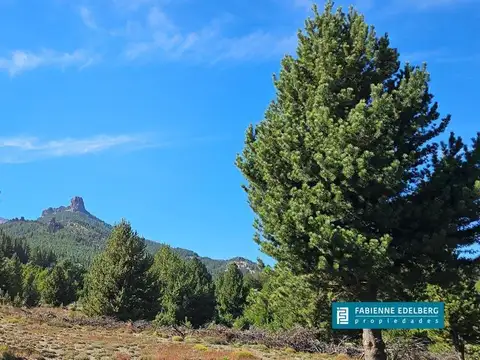 Lotes en Meliquina 2040 m² | Planos y listos para construir Arroyo   asfalto en proceso | Oportunida