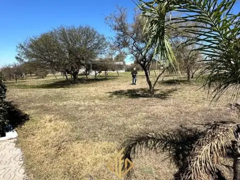 La Arbolada