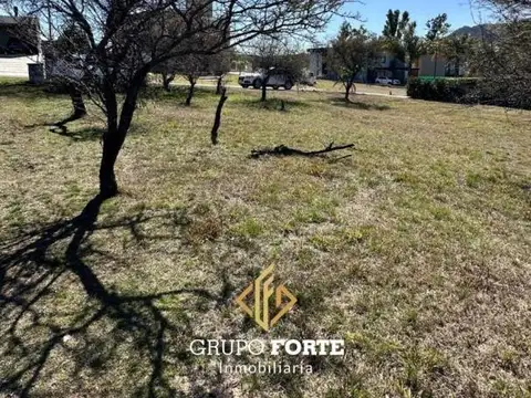 Terreno en Venta 52  mts Fondo