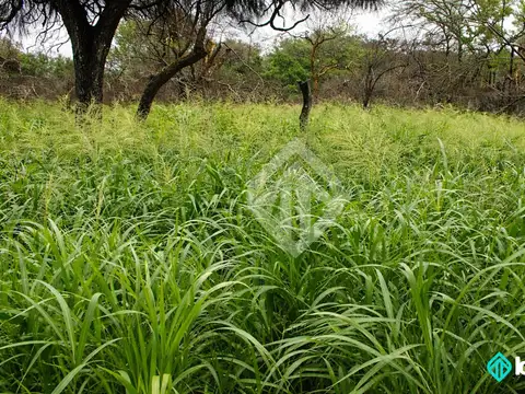 Campo en venta de 6600 has sobre ruta 5, Martínez del Tineo, Salta