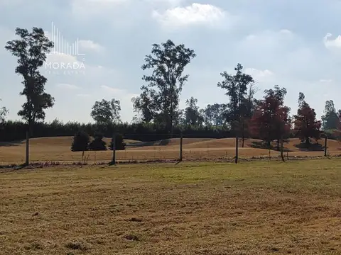 PILAR GOLF