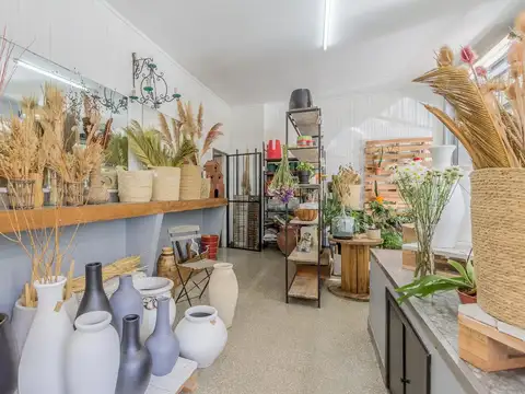 Local - San Telmo - Local a la calle con subsuelo 183,82 m2 totales.