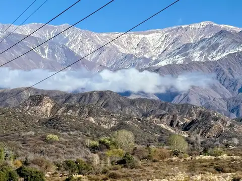 ¡Venta! Finca con plantación de nogales en Santa Florentina - Chilecito