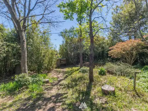 Gavea y Le Mans 2600