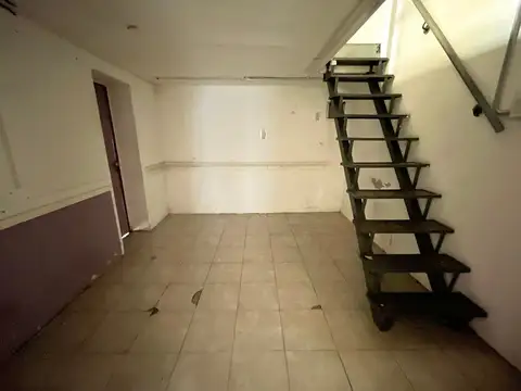Camacuá 100