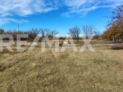 Acceso Nueva España