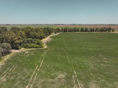Campo Agrícola en Noroeste de Buenos Aires, cercano a Rufino