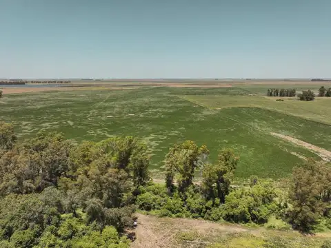Campo Rural en Zona Núcleo cercano a Rufino
