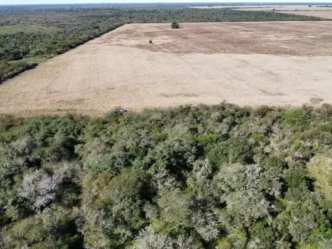 Campo en Venta de 284  ha