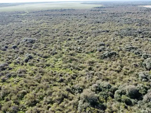 Campo en Venta de 284  ha