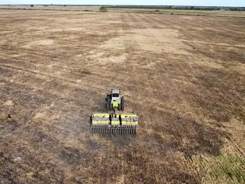 Campo 284 hec Mixto Sauce Corrientes