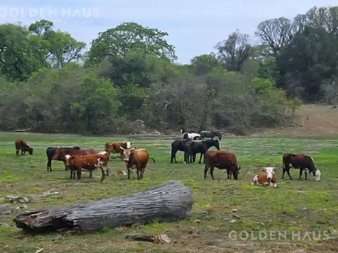 El fuerte - Santan Barbara - Jujuy