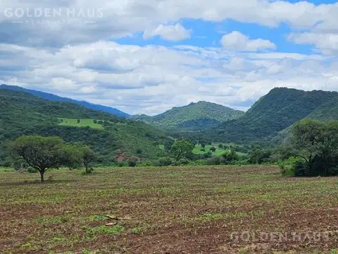 Venta de finca - Campo - Mixto - Arroyo - Bosques - 2700 Hectareas