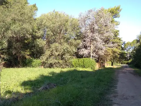 Terreno en Venta de 2004,0 m2